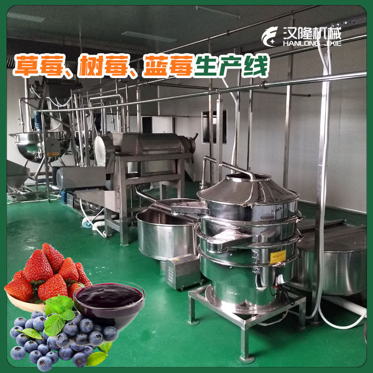 供應（yīng）成套大中小型（xíng）藍莓、樹莓（méi）、草莓汁生產線生產線全自動設備【廠家供應】