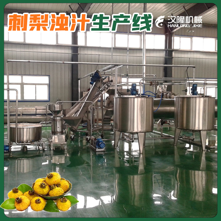 【實力廠家】定(dìng)製整套刺梨加 工生 產線 刺梨汁濃縮刺梨幹(gàn)設備