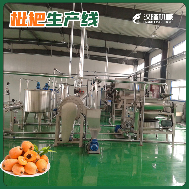 小（xiǎo）型枇杷加 工（gōng）設備 整套枇杷膏生 產線設備 枇杷膏製作設備廠家