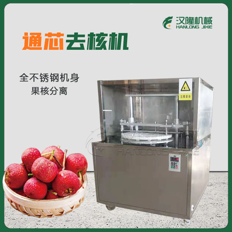 廠家直供不鏽鋼通芯高速水果去核機 商用山楂楊梅枇杷去核機(jī) 小型工業去核(hé)機