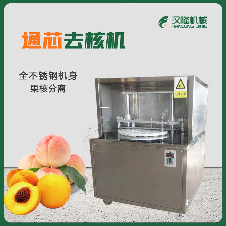 【去核機（jī）】高速桃子黃桃水蜜桃通芯（xīn）去核機  果核肉去核分離打漿 果蔬加工專用設備